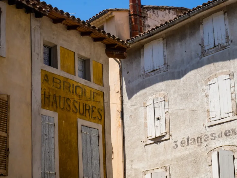 l ambitieuse silphie